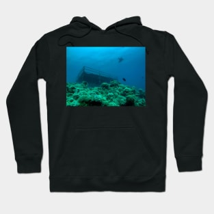 Coral reef and scuba diver Hoodie